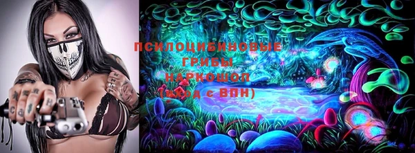 ГАЛЛЮЦИНОГЕННЫЕ ГРИБЫ Липки