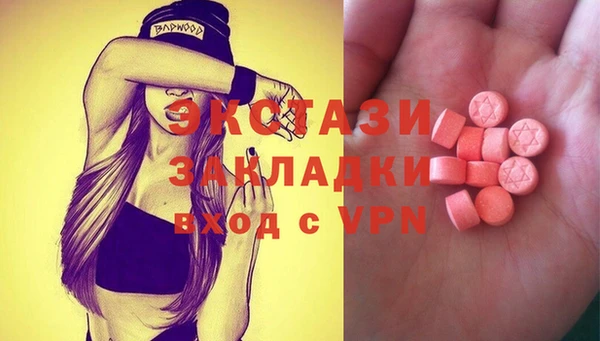 крисы Мегион