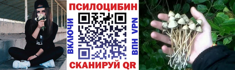 Галлюциногенные грибы GOLDEN TEACHER  kraken рабочий сайт  Малаховка 